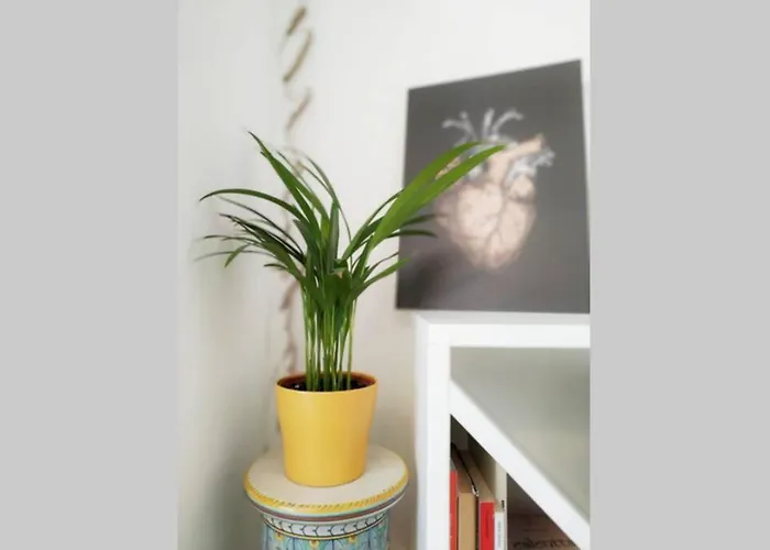 Apartman La Terrazza Sul Mare Loano